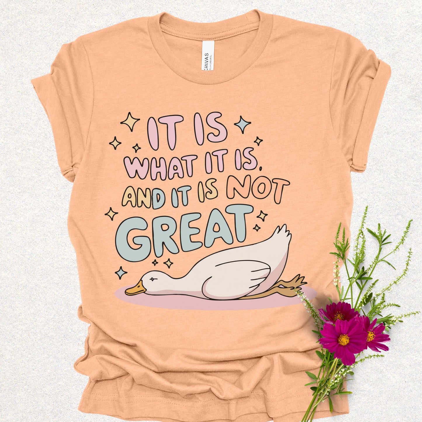 It Is What It Is Humor Tee