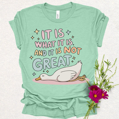 It Is What It Is Humor Tee
