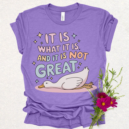 It Is What It Is Humor Tee
