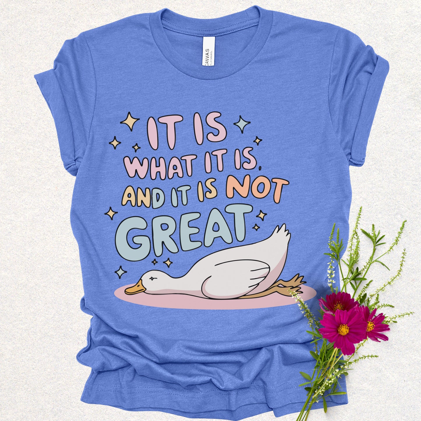 It Is What It Is Humor Tee