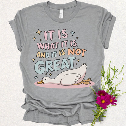 It Is What It Is Humor Tee